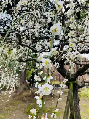 城南宮(京都府)