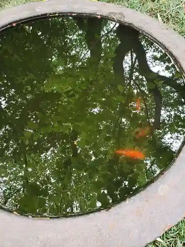 常圓寺のその他建物