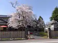 妙経寺(福井県)