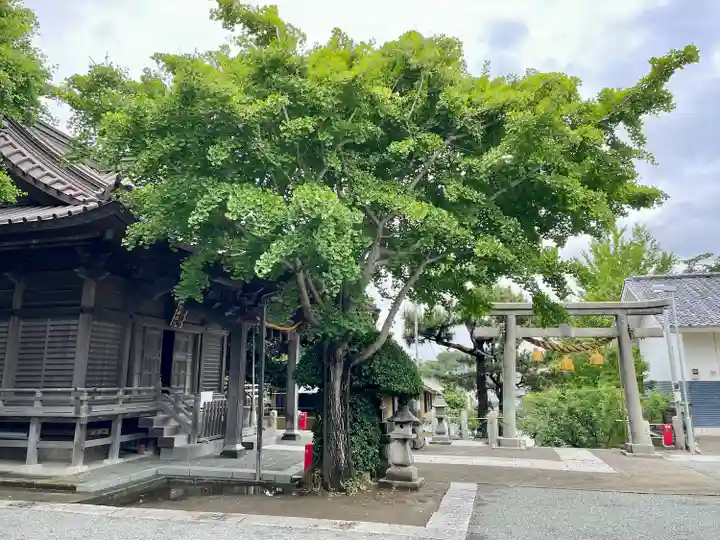 小動神社(神奈川県)