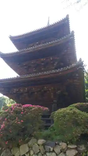 園城寺（三井寺）の建物その他