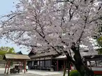 東寺(教王護国寺)の自然