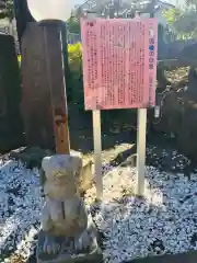 赤羽八幡神社の狛犬