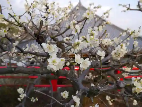 中山寺の自然