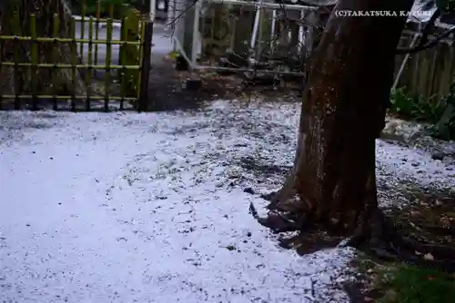 相模原氷川神社のその他建物