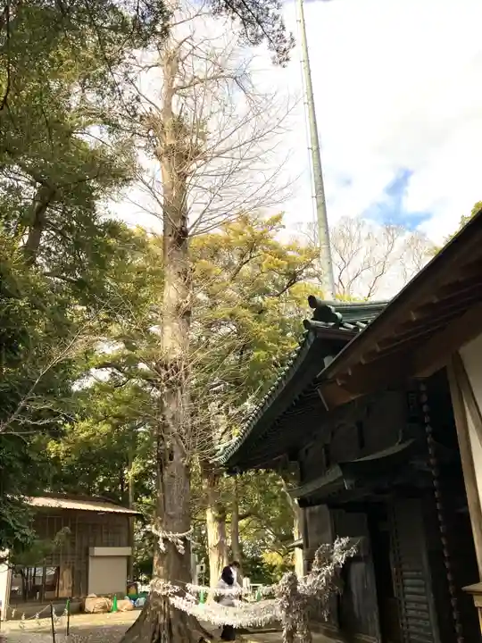 玉前神社(千葉県)