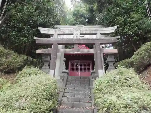 椿稲荷社の鳥居