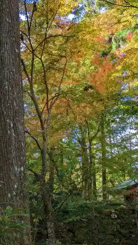 三千院門跡(京都府)