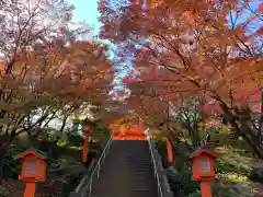 穴八幡宮の自然