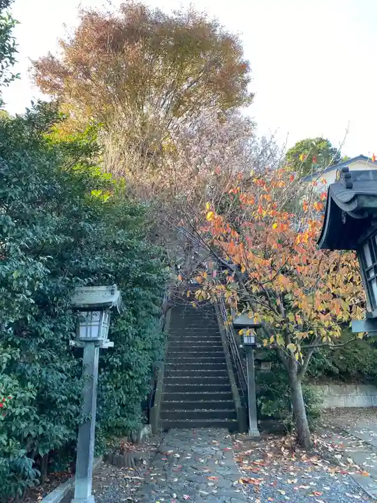 新羽杉山神社の自然