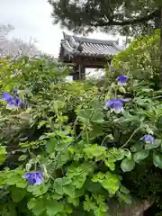 石光寺(奈良県)