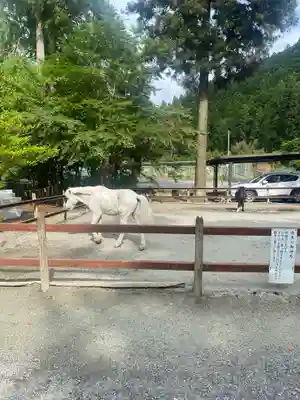 丹生川上神社（下社）(奈良県)