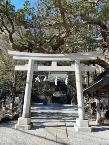 御霊神社の鳥居