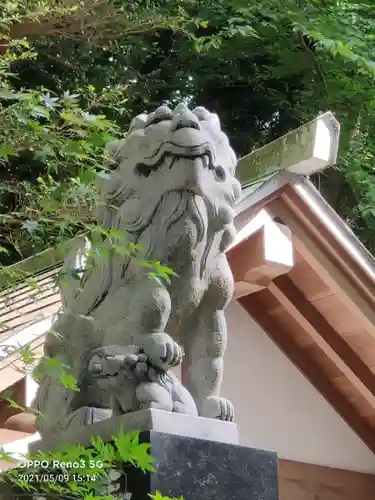 泉神社の狛犬