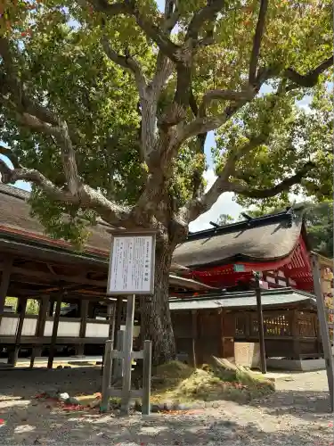 宗像大社(福岡県)