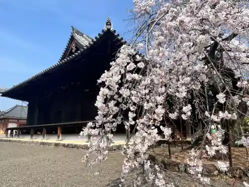 道成寺(和歌山県)