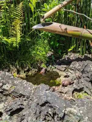 更雀寺(京都府)