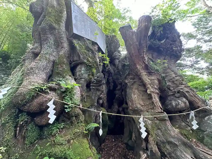 來宮神社(静岡県)