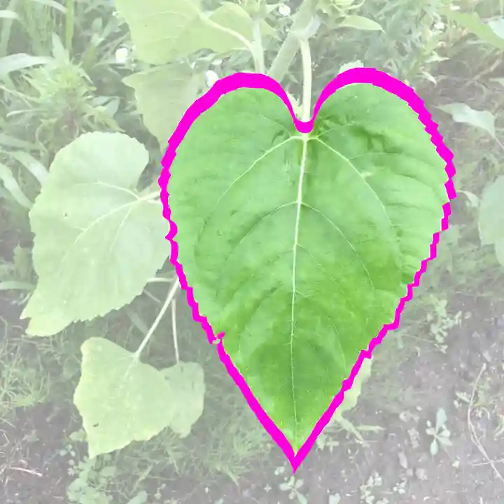 高司神社〜むすびの神の鎮まる社〜(福島県)