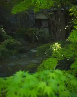 白山神社(新潟県)