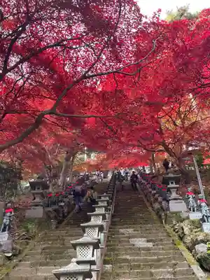 大山寺(神奈川県)