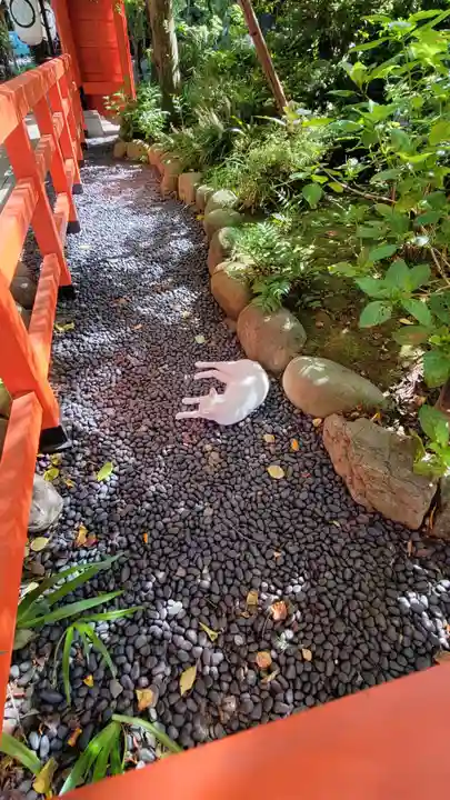 愛宕神社の動物