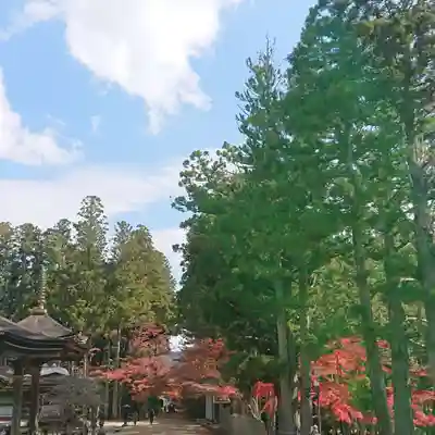 壇上伽藍のその他建物