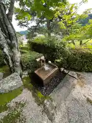 妙感寺の手水