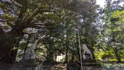 三嶋神社(神奈川県)
