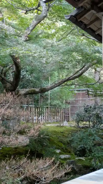 西源院(京都府)