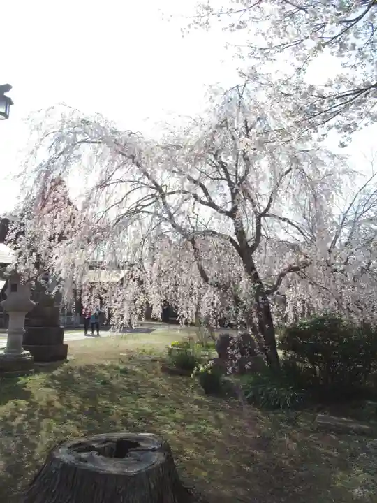 慶龍寺(茨城県)