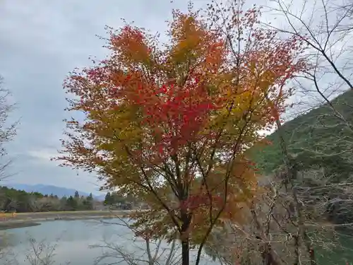 神藏寺(京都府)
