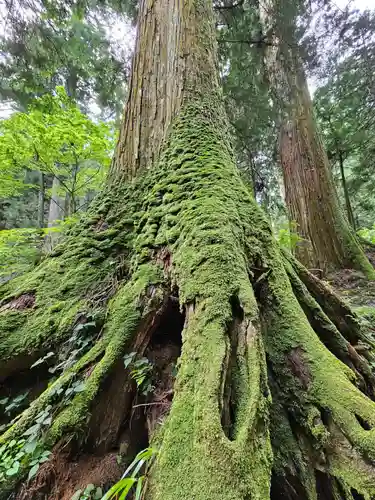 最乗寺（道了尊）(神奈川県)