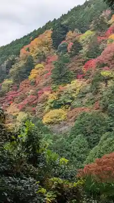 善峯寺(京都府)