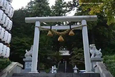 中氷川神社(埼玉県)