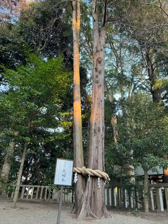 常陸第三宮 吉田神社(茨城県)