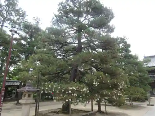 智恩寺(京都府)