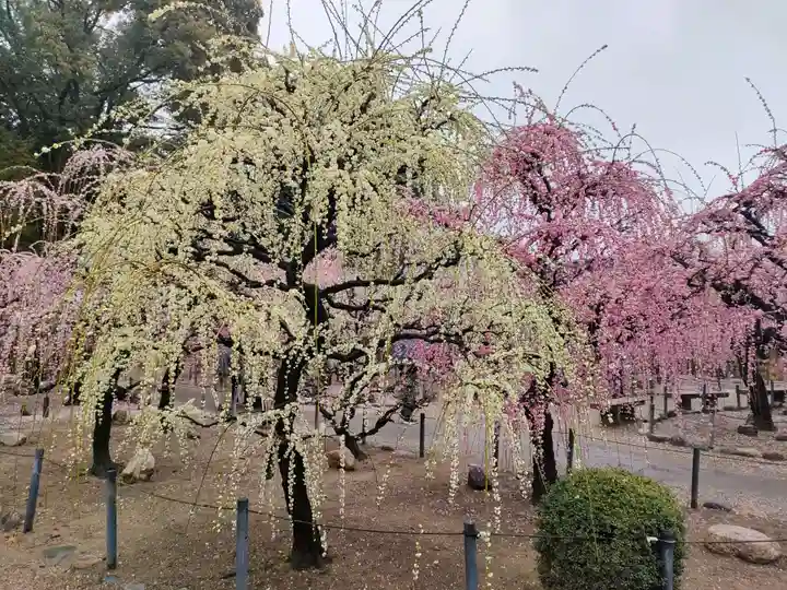 結城神社の周辺