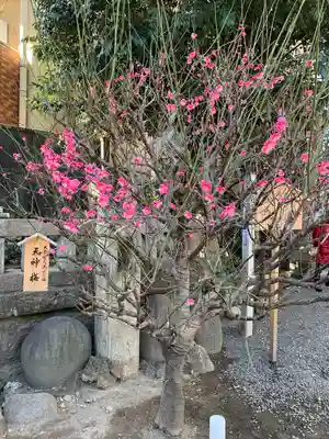 小野照崎神社(東京都)