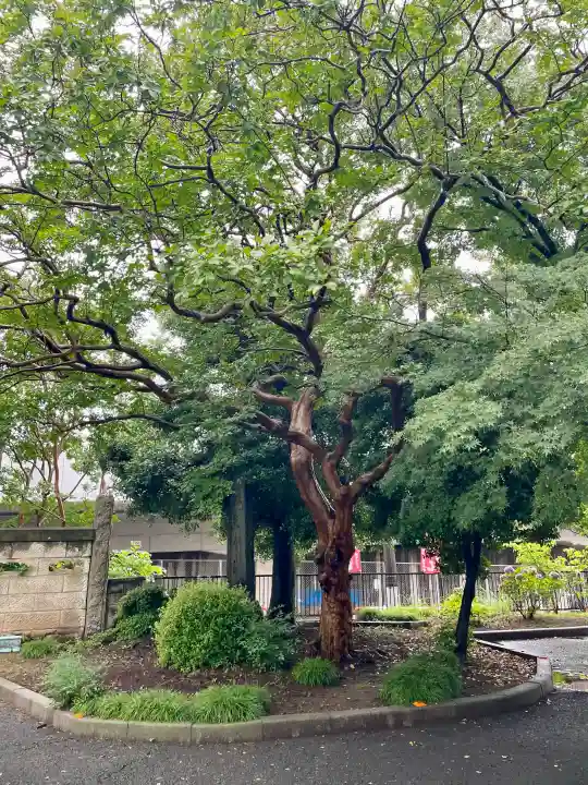 圓蔵寺(埼玉県)