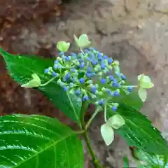 滑川神社 - 仕事と子どもの守り神の自然