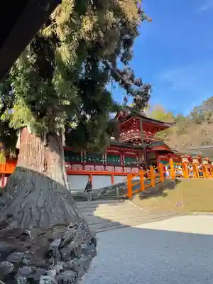 春日大社(奈良県)