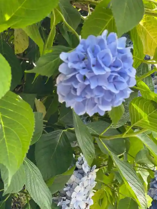 谷性寺(京都府)