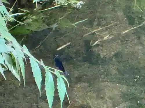 常堅寺(岩手県)