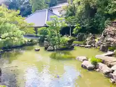 清荒神清澄寺の庭園