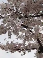 座間神社(神奈川県)