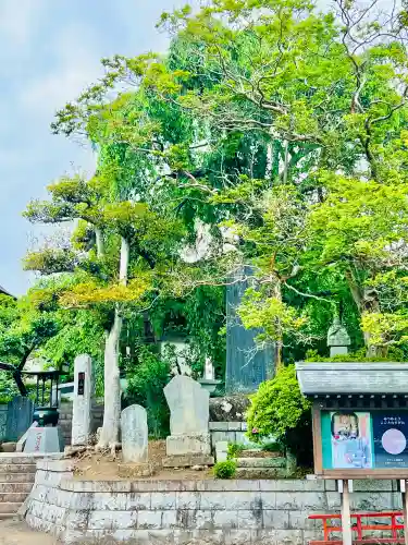 明星院（大師霊園）(茨城県)