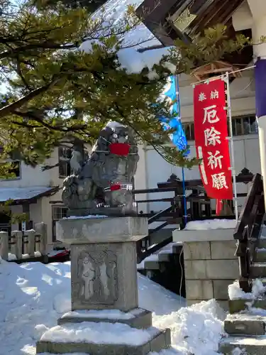 豊平神社の狛犬