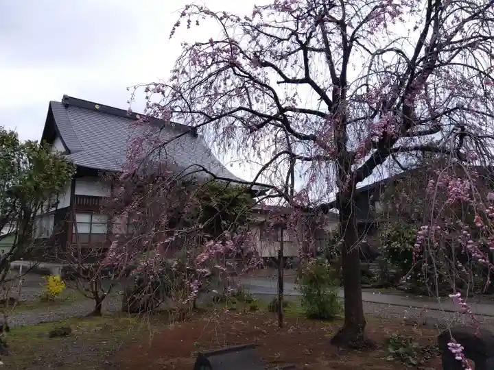 称念寺(新潟県)