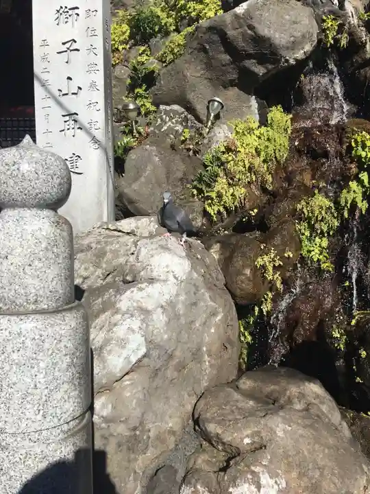 神田神社(神田明神)の動物